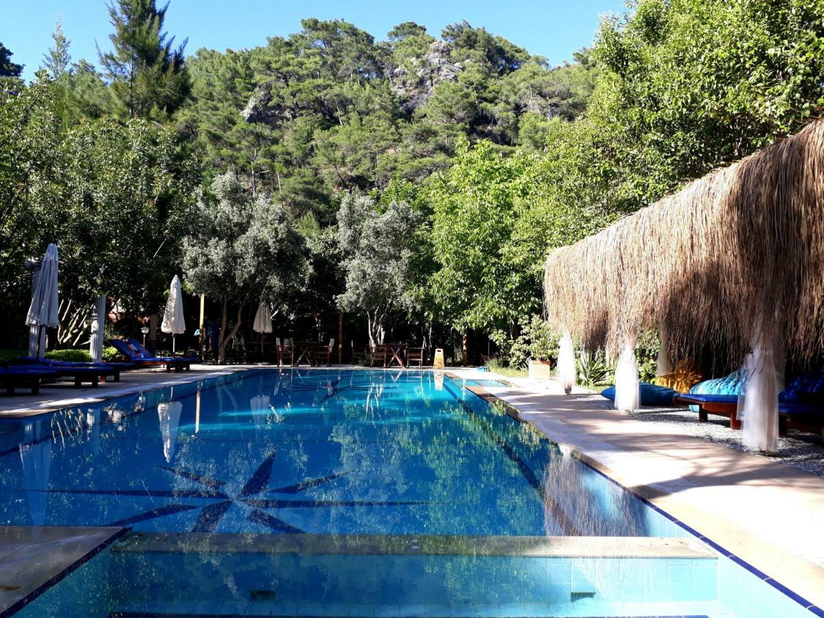 Hotel Dalos غوجيك المظهر الخارجي الصورة